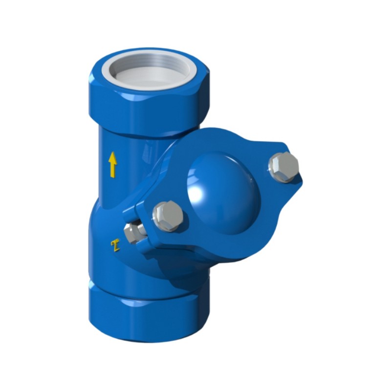 Afpumps threaded ball check valve 2" ½ RS.26.055N