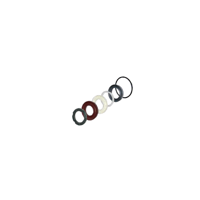 Dolly kit A42171 sealing rings ANNOVI REVERBERI series 298 RW