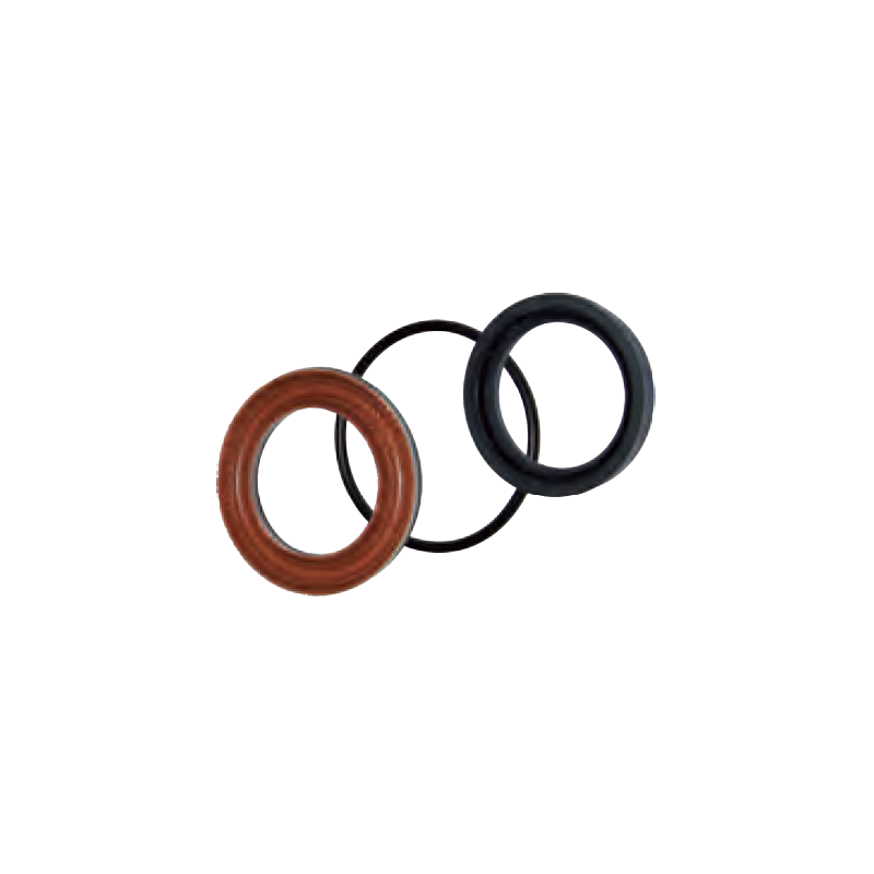 Dolly kit A1888 sealing rings ANNOVI REVERBERI series 228 RK