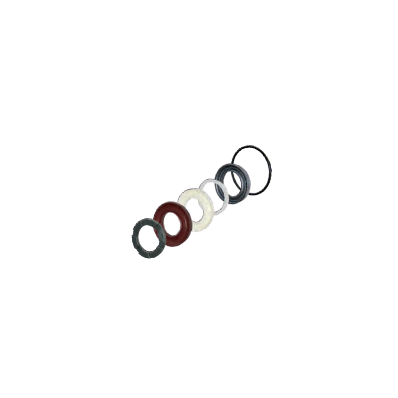 Dolly kit A42171 sealing rings ANNOVI REVERBERI series 402 RG-RGA
